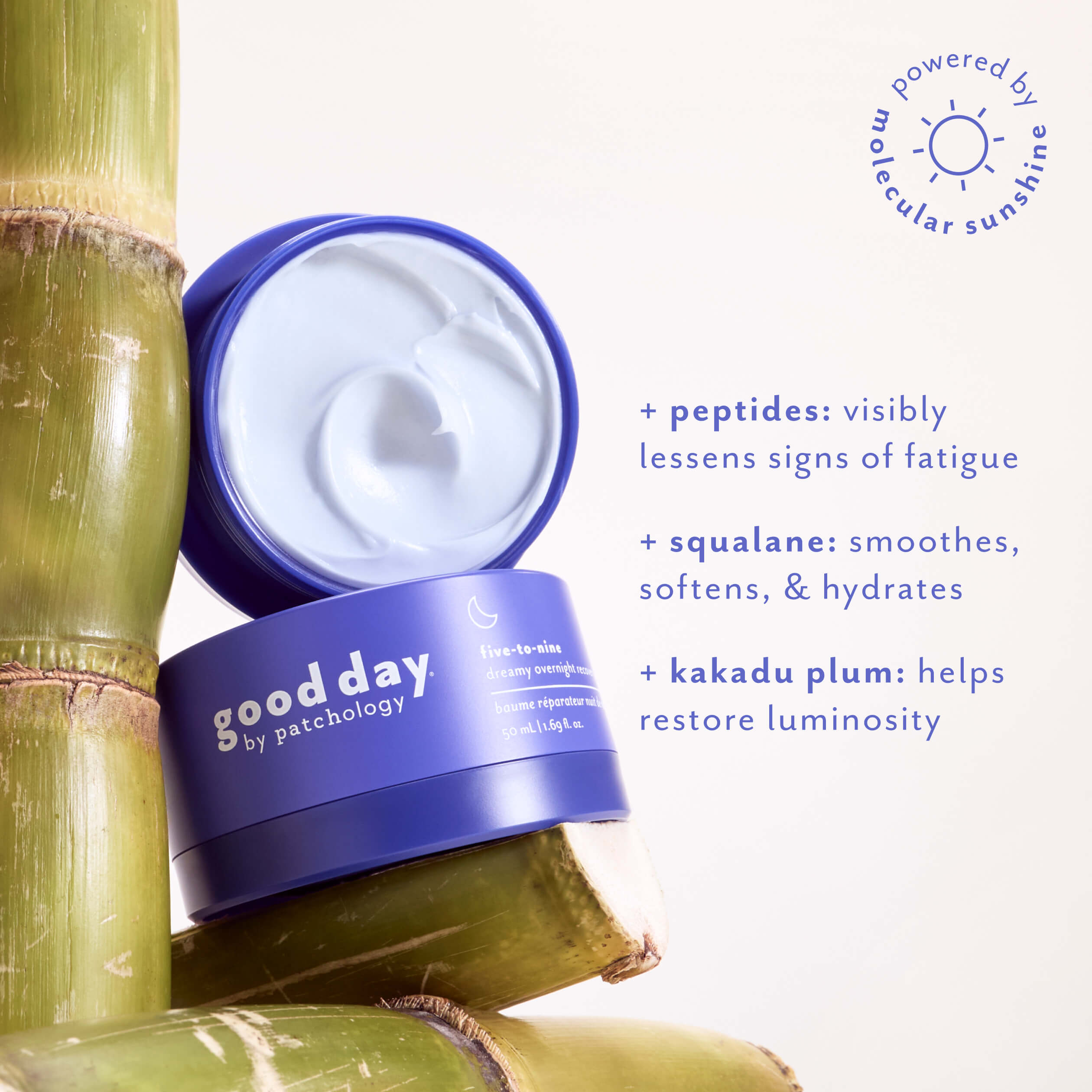 A jar of Good Day facial treatment cream shown open with cream visible, styled on bamboo stalks against a light background with product benefits text and a 'powered by molecular sunshine' badge.
